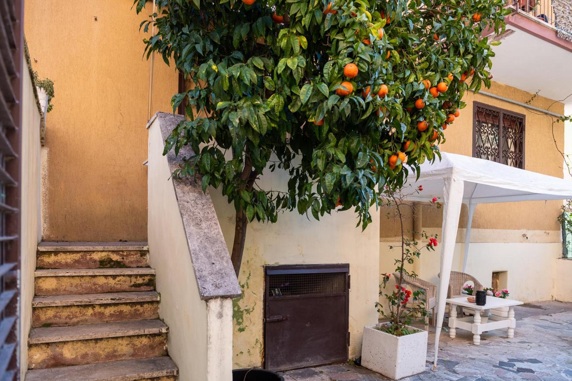 Vila La Casa Di Betty Lido di Ostia Exteriér fotografie